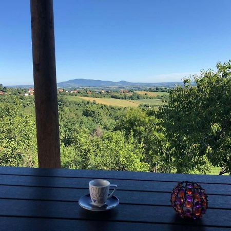 Vila Pogled Arandjelovac Bagian luar foto