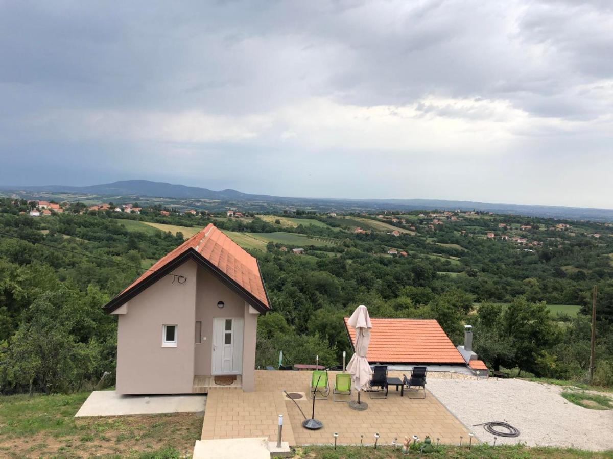 Vila Pogled Arandjelovac Bagian luar foto