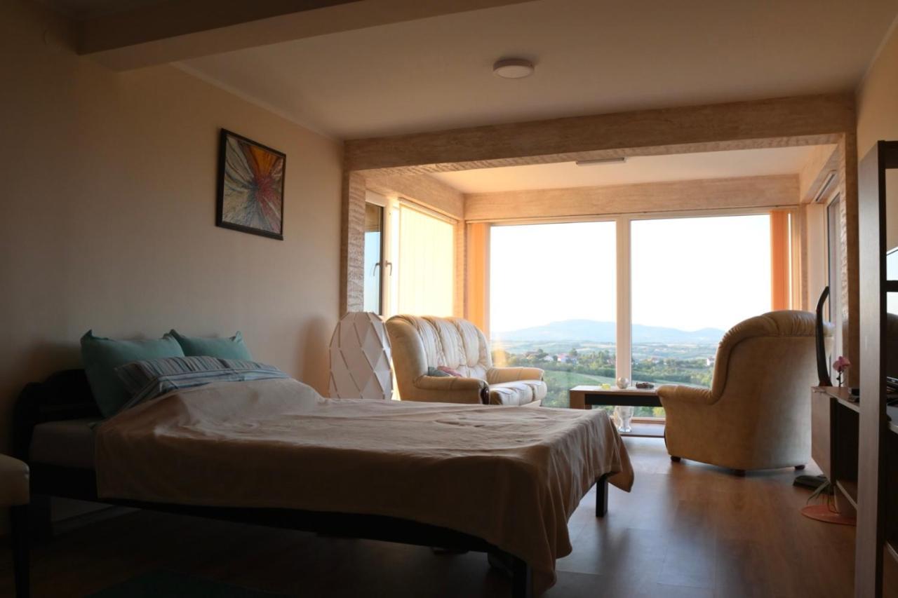 Vila Pogled Arandjelovac Bagian luar foto