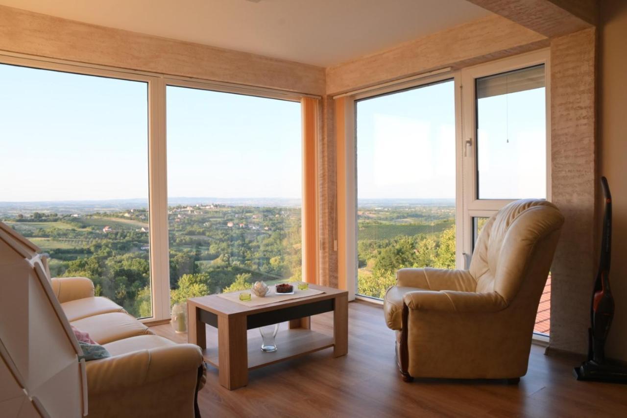 Vila Pogled Arandjelovac Bagian luar foto