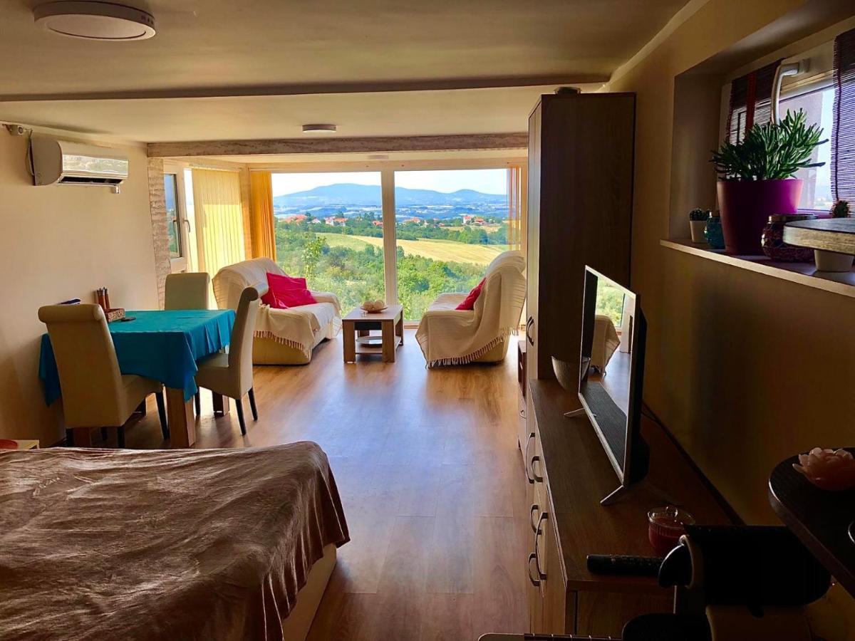 Vila Pogled Arandjelovac Bagian luar foto
