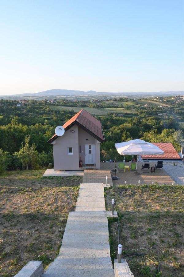 Vila Pogled Arandjelovac Bagian luar foto