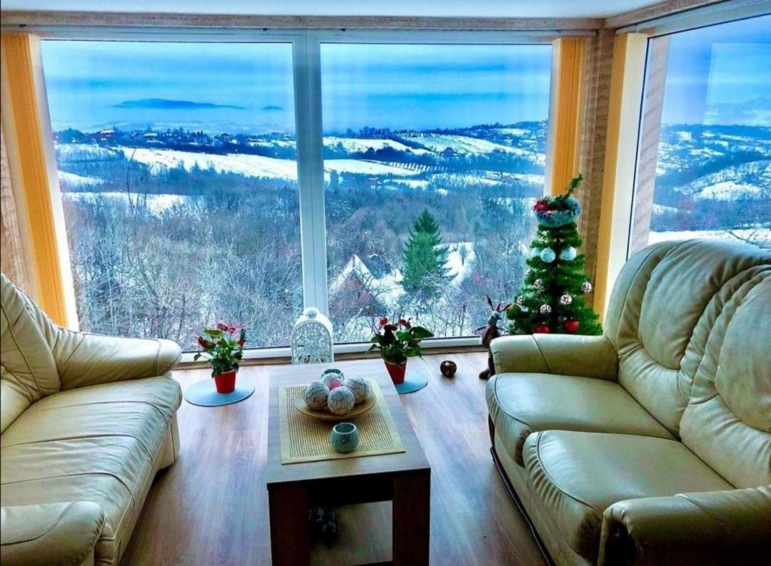 Vila Pogled Arandjelovac Bagian luar foto