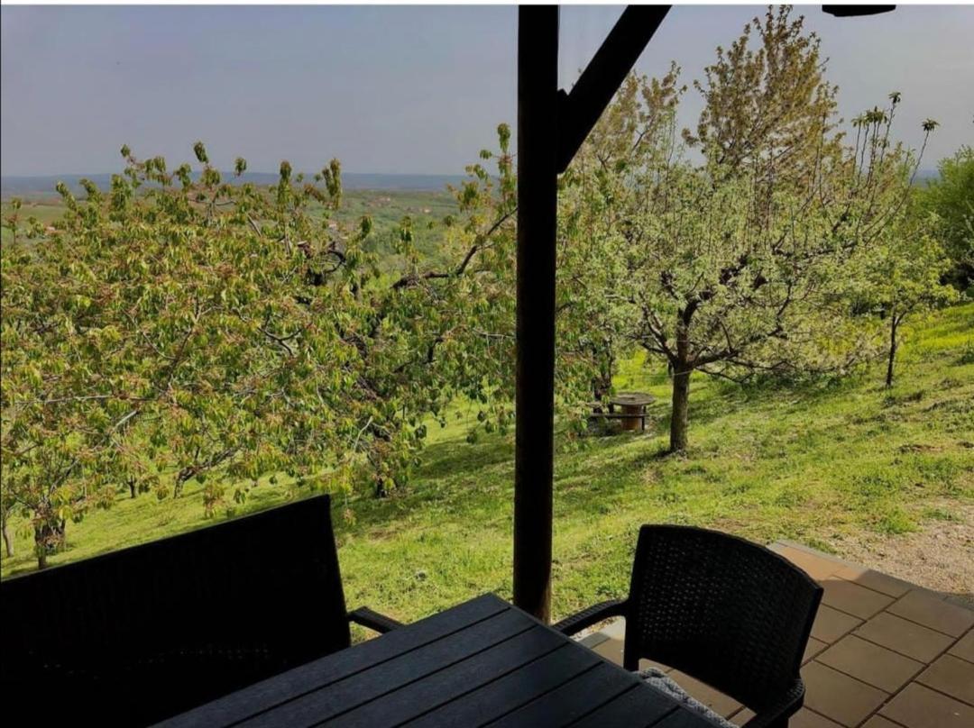 Vila Pogled Arandjelovac Bagian luar foto